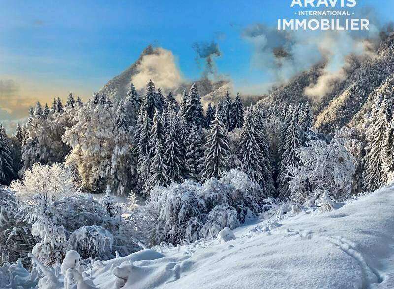 Discover the tranquility of this stunning winter wonderland property.