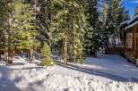 Nestled in a serene winter wonderland, this property offers a picturesque escape surrounded by snow-covered trees.