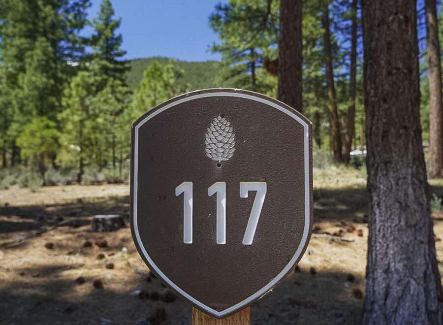 House in Carson City - view 1