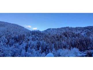 Nestled in a serene winter wonderland, this property offers breathtaking views of snow-covered mountains and lush evergreen forests.