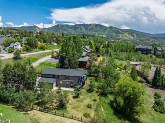 Nestled amidst lush greenery and offering stunning mountain views, this property boasts a spacious multi-level home perfect for family living.
