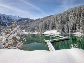 Experience the serenity of this stunning lakeside property, nestled amidst snow-covered mountains and evergreen forests.