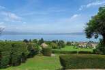 Enjoy breathtaking views from this stunning property! This home features lush greenery, manicured hedges, and a serene lake backdrop.