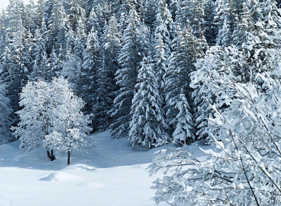 Chalet in Megeve - Image 2