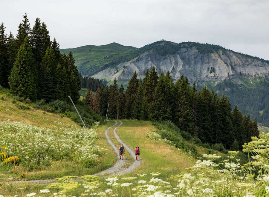 Experience the ultimate mountain lifestyle with this stunning property offering breathtaking panoramic views of lush green valleys and majestic rocky peaks.