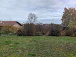 Discover the charm of this property, featuring a lush green lawn and mature landscaping.