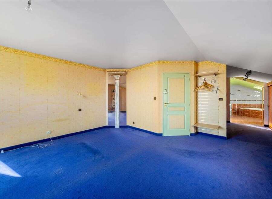 This spacious room features a vibrant blue carpet, complemented by light yellow walls and a decorative border.