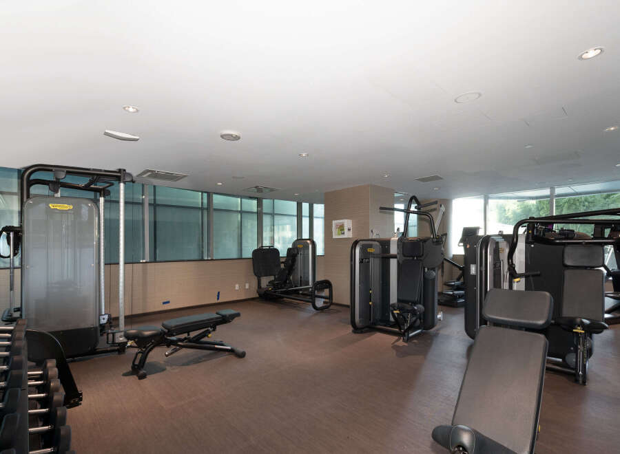 This modern gym offers a comprehensive fitness experience with a variety of state-of-the-art equipment.