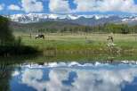 Experience the tranquility of this stunning property, featuring breathtaking mountain views and a serene pond.