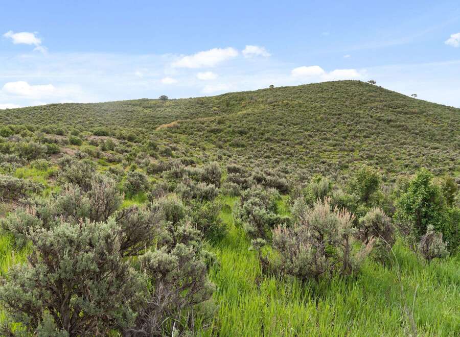 Explore the beauty of this expansive property, featuring a lush, green hillside and a vibrant meadow.
