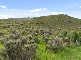 Explore the beauty of this expansive property, featuring a lush, green hillside and a vibrant meadow.