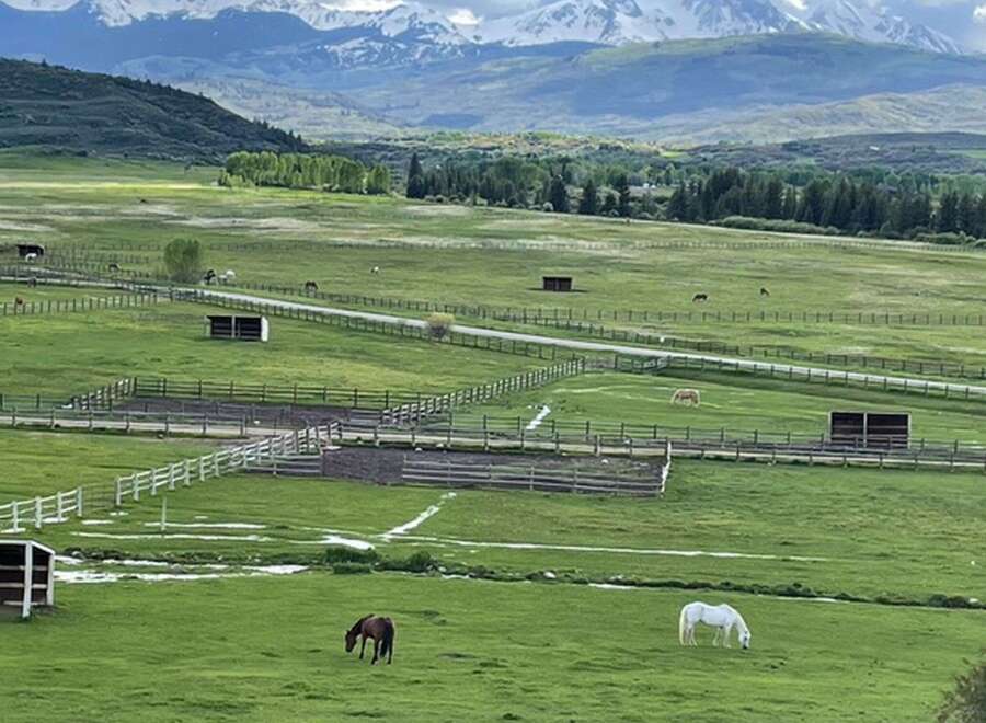 Experience the tranquility of this stunning ranch property, featuring vast green pastures perfect for equestrian pursuits.