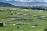 Experience the tranquility of this stunning ranch property, featuring vast green pastures perfect for equestrian pursuits.