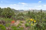 Discover the beauty of this stunning landscape, perfect for those seeking a tranquil escape.