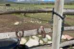 Experience the tranquility of rural living with this charming property.