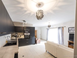 Modern kitchen with sleek black cabinets and integrated appliances.