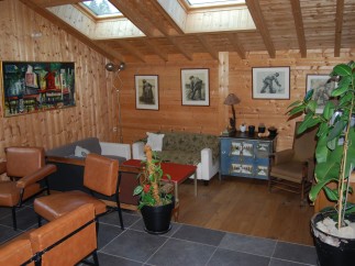 Cozy living room with wooden walls and ceiling, featuring skylights for ample natural light.