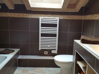 This stunning bathroom boasts a modern design with dark brown tiles and a built-in bathtub.