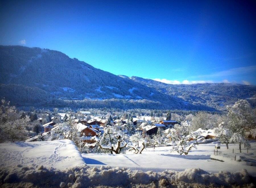 Nestled in a snow-covered mountain village, this charming property offers breathtaking views and a peaceful atmosphere.