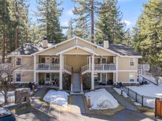 Discover a charming multi-unit property nestled amidst towering trees.