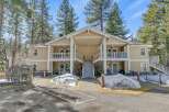 Discover a charming two-story building nestled amidst towering trees, offering a serene living experience.