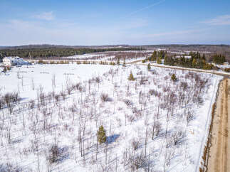 Discover the tranquility of this expansive property, perfect for building your dream home or a serene retreat.