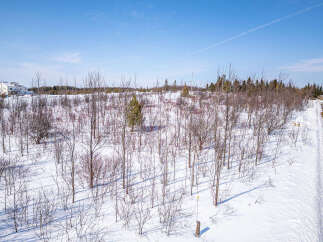 Discover the tranquility of this expansive property, perfect for building your dream home.
