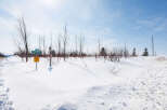 This stunning property offers a serene winter landscape, perfect for those seeking tranquility.
