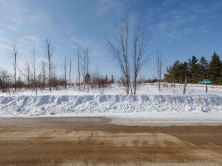 Explore the serene beauty of this winter landscape, perfect for those seeking a tranquil escape.