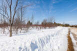 A winter wonderland unfolds in this picturesque scene, showcasing a snow-covered landscape perfect for a serene retreat.