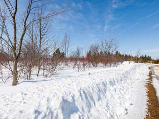 A winter wonderland unfolds in this picturesque scene, showcasing a snow-covered landscape perfect for a serene retreat.