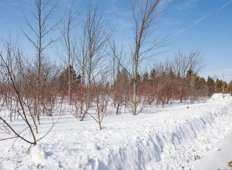 A serene winter landscape showcases a snow-covered property, perfect for those seeking a tranquil retreat.