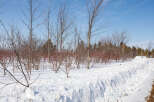 A serene winter landscape showcases a snow-covered property, perfect for those seeking a tranquil retreat.