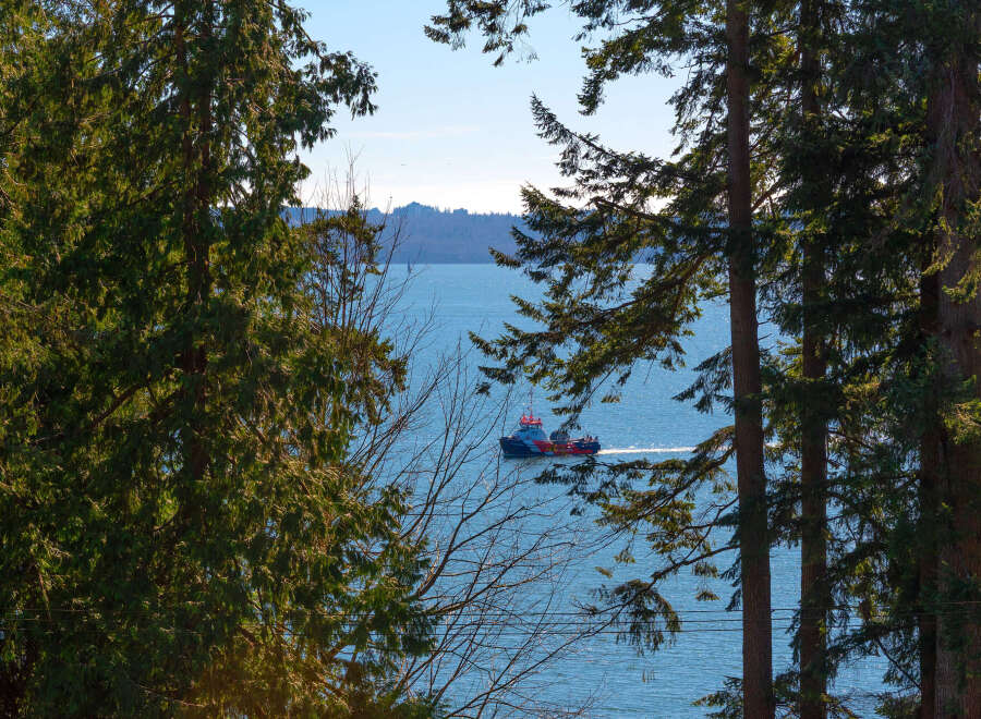 Enjoy stunning waterfront views from this beautiful property, framed by lush trees and a serene blue sea.