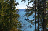 Enjoy stunning waterfront views from this beautiful property, framed by lush trees and a serene blue sea.