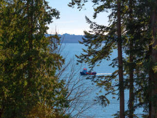 Enjoy stunning waterfront views from this beautiful property, framed by lush trees and a serene blue sea.