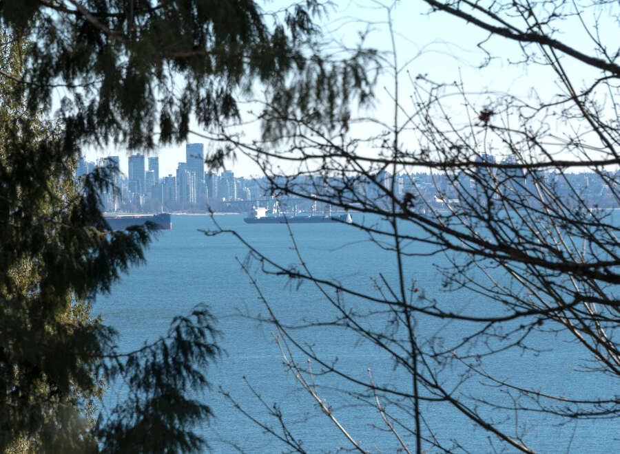 Enjoy stunning views of the city skyline and the tranquil waters from this property.