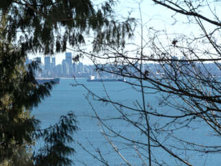 Enjoy stunning views of the city skyline and the tranquil waters from this property.