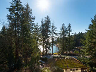 Nestled amidst lush greenery and offering stunning views, this property is a true gem.