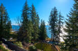 Enjoy breathtaking views from this stunning property, featuring lush greenery and a serene waterfront setting.