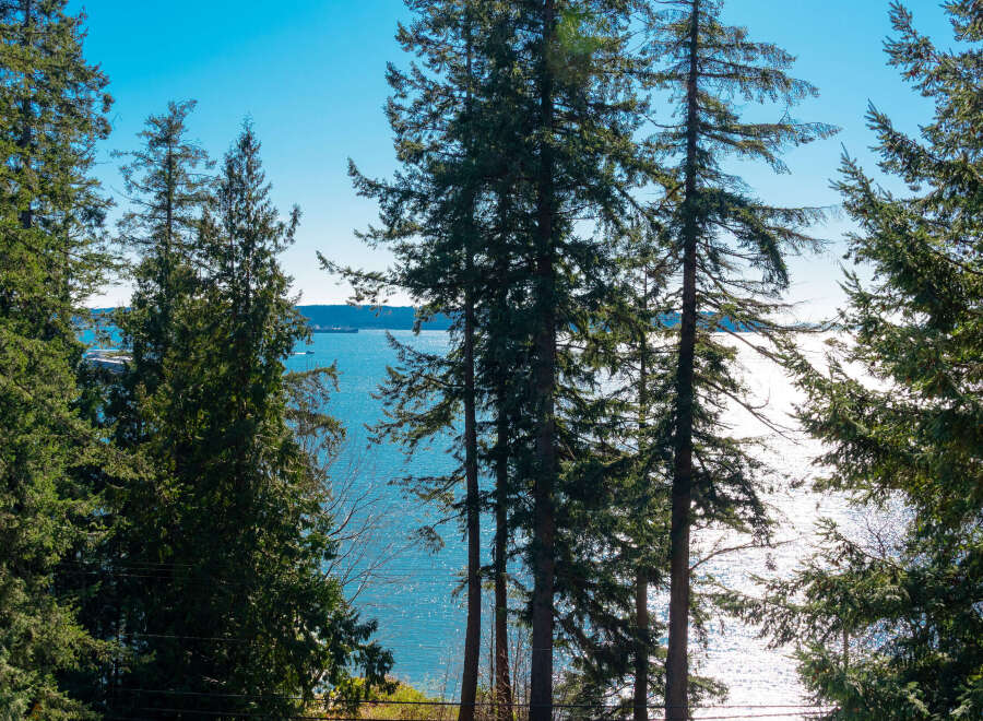 Enjoy breathtaking views of the water and surrounding nature from this stunning property.