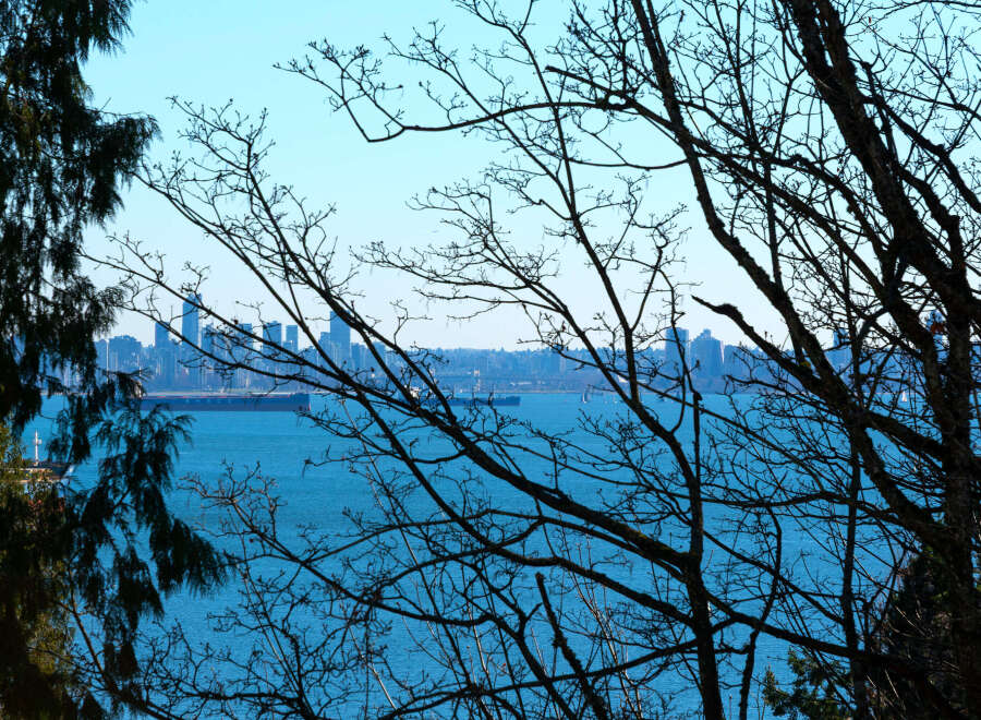 Enjoy stunning views of the city skyline and the tranquil waters from this property.