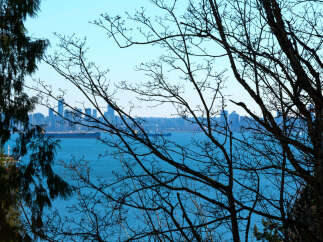 Enjoy stunning views of the city skyline and the tranquil waters from this property.
