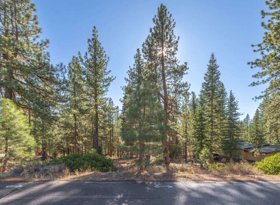 Discover the tranquility of this stunning property surrounded by towering trees and lush greenery.