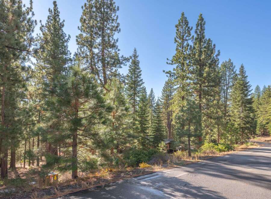 Discover the tranquility of this stunning property surrounded by towering trees and a serene natural landscape.