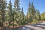Discover the tranquility of this stunning property surrounded by towering trees and a serene natural landscape.