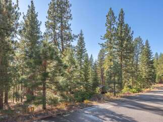 Discover the tranquility of this stunning property surrounded by towering trees and a serene natural landscape.