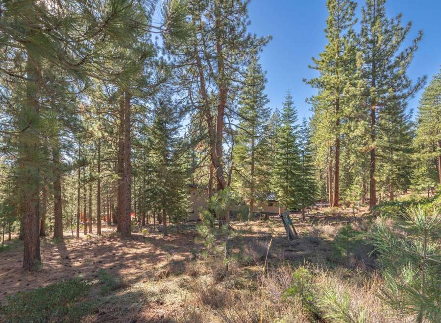 Discover a serene retreat nestled amidst towering trees.