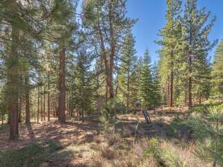Discover a serene retreat nestled amidst towering trees.