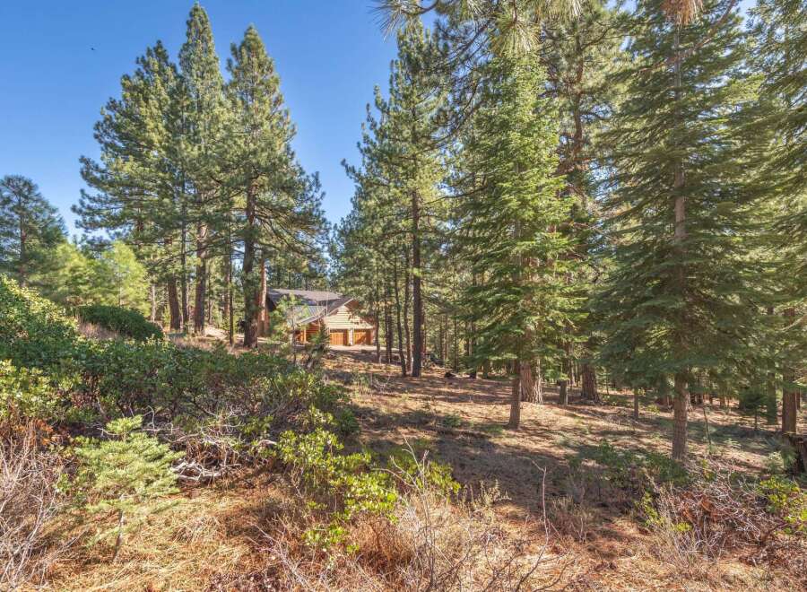 Nestled amidst towering trees, this charming cabin offers a serene escape.